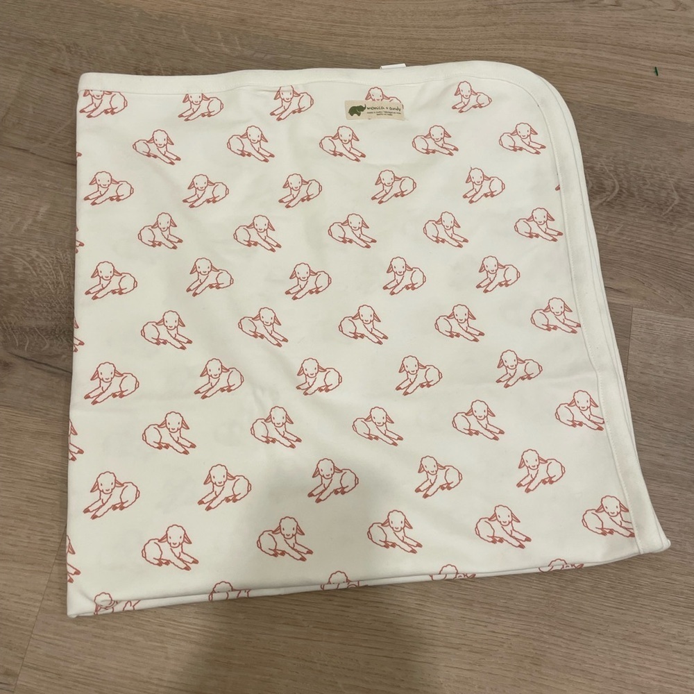 Monica + Andy blanket